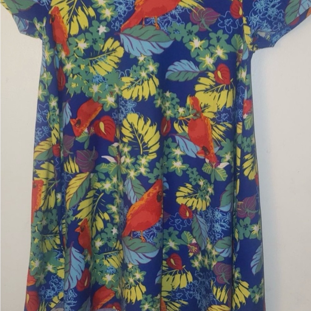 LuLaRoe Blue and Green Floral Dress